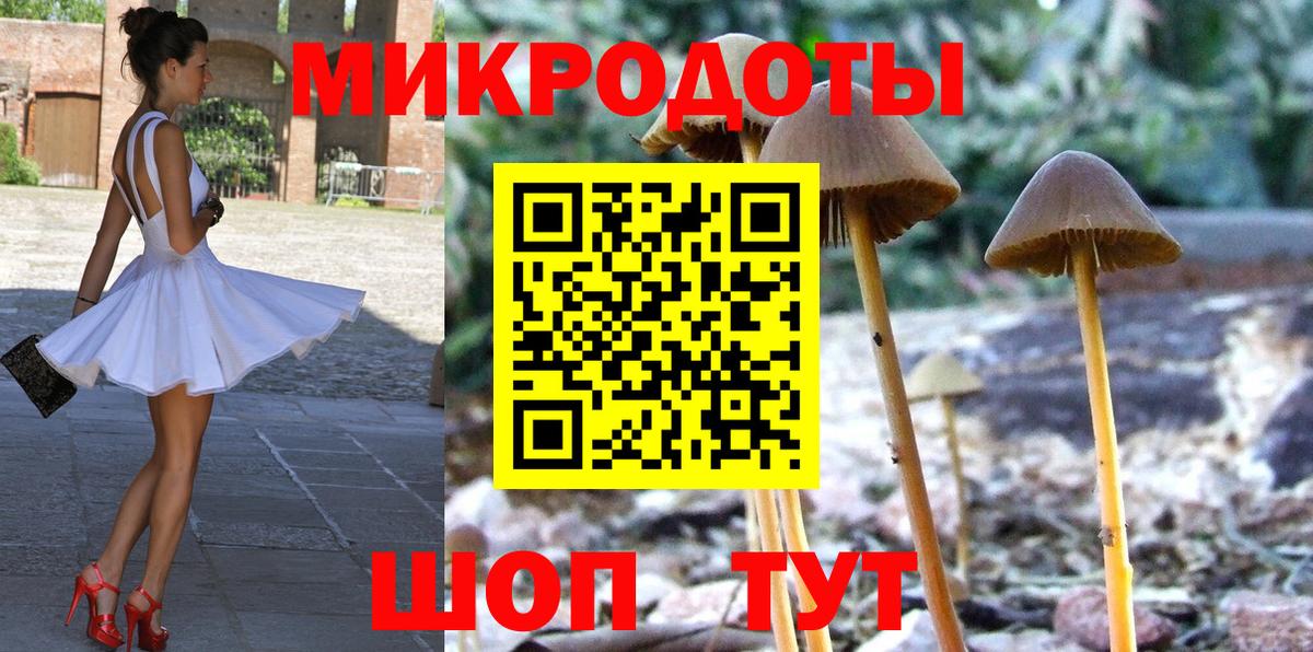 Торжок  Галлюциногенные грибы прущие грибы  Галлюциногенные грибы Psilocybine cubensis  Вход с VPN 